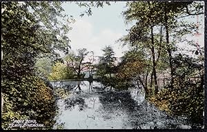 Temple Newsam Fish Pond 1920's Postcard