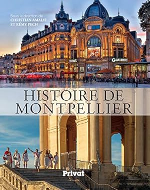 Seller image for Histoire De Montpellier for sale by ABACO LIBROS USADOS