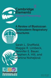 Bild des Verkufers fr A Review of Blastozoan Echinoderm Respiratory Structures zum Verkauf von moluna