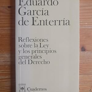 Image du vendeur pour Reflexiones sobre la Ley y los principios generales del Derecho (Cuadernos) mis en vente par LIBRERA OESTE