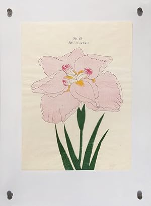 Seller image for Iris Kaempferi: Irises. for sale by Shapero Rare Books