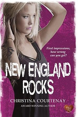 Bild des Verkufers fr New England Rocks zum Verkauf von WeBuyBooks