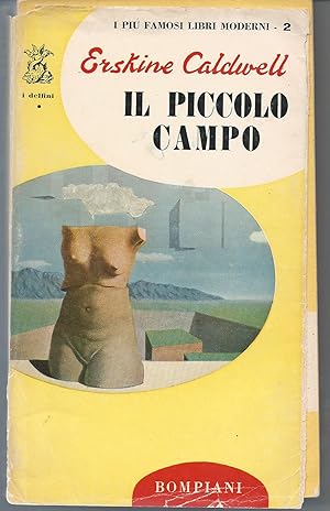 Il piccolo campo