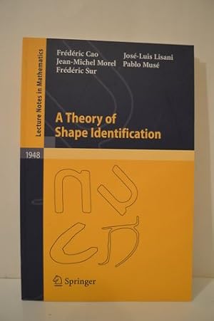A Theory of Shape Identification (Lecture Notes in Mathematics, 1948)