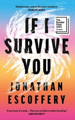 Seller image for If I Survive You for sale by GreatBookPrices