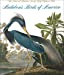 Image du vendeur pour Audubon's Birds of America: The Audubon Society Baby Elephant Folio mis en vente par Pieuler Store