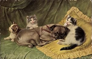 Bild des Verkufers fr Knstler Ansichtskarte / Postkarte Hund und drei kleine Katzen zum Verkauf von akpool GmbH