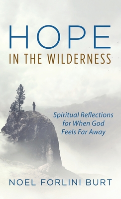 Bild des Verkufers fr Hope in the Wilderness (Hardback or Cased Book) zum Verkauf von BargainBookStores