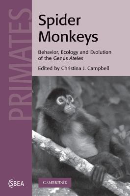 Seller image for Spider Monkeys: Behavior, Ecology and Evolution of the Genus Ateles (Paperback or Softback) for sale by BargainBookStores