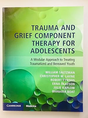 Seller image for Trauma and Grief Component Therapy for Adolescents: A Modular Approach to Treating Traumatized and Bereaved Youth for sale by Cherubz Books