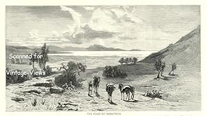 THE PLAIN OF MARATHON, ANTIQUE MILITARY BATTLESCENE PRINT