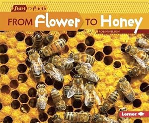 Seller image for From Flower to Honey (Paperback) for sale by CitiRetail