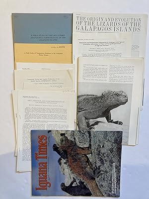 Papers on ecology, behavior, evolution, of Galapagos lizards, marine iguanas, Amblyrhynchus, Cono...