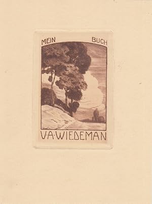 Seller image for Mein Buch V. A. Wiedeman. Weg unter B�umen vor Wolken. for sale by Antiquariat  Braun