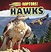 Imagen del vendedor de Hawks (Raptors!) [Soft Cover ] a la venta por booksXpress