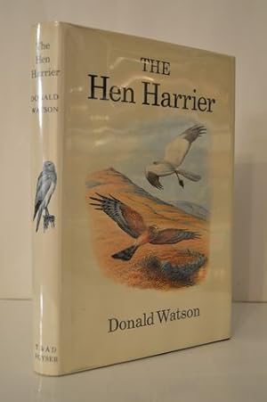 Bild des Verkufers fr Hen Harrier zum Verkauf von Lavendier Books