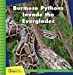 Seller image for Burmese Pythons Invade the Everglades (21st Century Junior Library: Invasive Species Science: Tracking and Controlling) [No Binding ] for sale by booksXpress