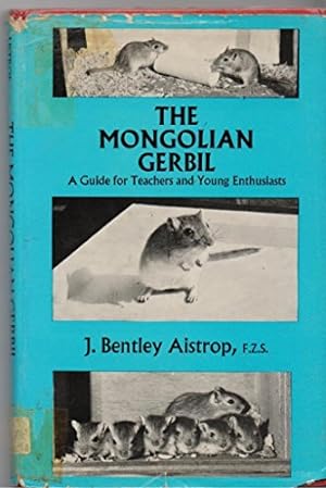 Seller image for Mongolian Gerbil: Guide for Teachers and Young Enthusiasts for sale by WeBuyBooks
