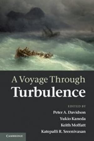 Immagine del venditore per A Voyage Through Turbulence [Hardcover ] venduto da booksXpress