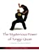 Seller image for The Mysterious Power of Xingyi Quan: A Complete Guide to History, Weapons and Fighting Skills [Soft Cover ] for sale by booksXpress
