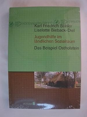 Imagen del vendedor de Die Jugendhilfe im lndlichen Sozialraum. Das Beispiel Ostholstein. a la venta por Buchmerlin