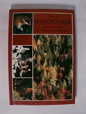 Seller image for Waldfhrer. for sale by Buchmerlin