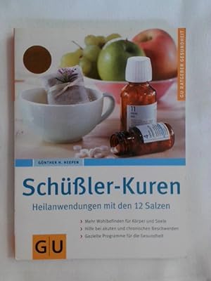 Bild des Verkufers fr Schler-Kuren. Heilanwendungen mit den 12 Salzen. zum Verkauf von Buchmerlin