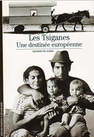 Immagine del venditore per Les Tsiganes : Une destine europenne venduto da JLG_livres anciens et modernes