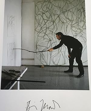 Brice Marden : Phaidon Focus ( Signed)