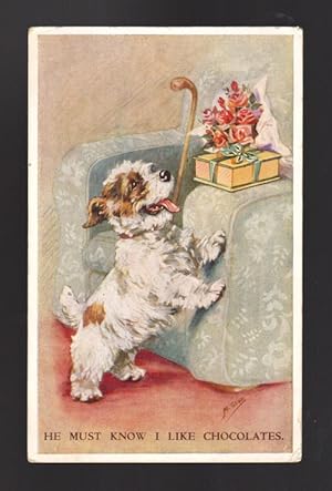 He Must Know I Like Chocolate - Terrier Dog Postcard