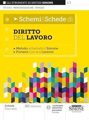 Seller image for 1/3 SCHEMI E SCHEDE DIRITTO DEL LAVORO. for sale by Libro Co. Italia Srl