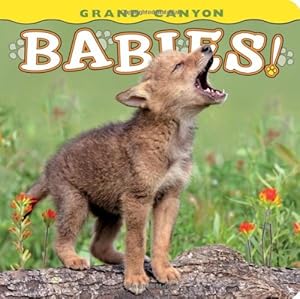 Imagen del vendedor de Grand Canyon Babies! (Babies! Animal) a la venta por Reliant Bookstore