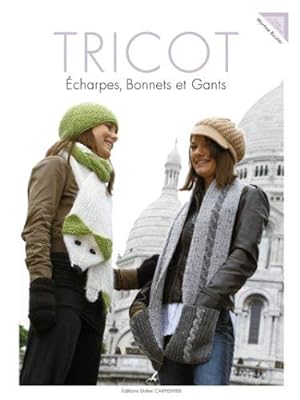 Bild des Verkufers fr tricot ; charpes, bonnets, gants by Martine Routier(2008-11-10) zum Verkauf von Ammareal
