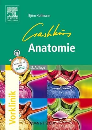 Seller image for Crashkurs Anatomie for sale by AHA-BUCH GmbH