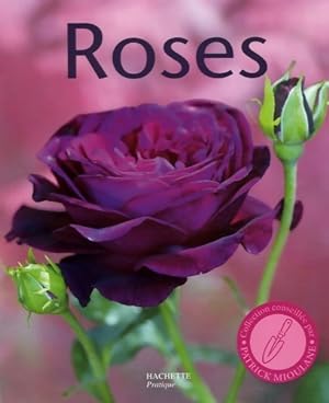 Seller image for Roses - Daniel Brochard for sale by Book Hmisphres