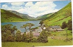 Tal-Y-llyn Merioneth Wales 1967 Postcard
