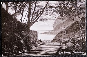 Llanbedrog Beach Antique Vintage 1906 Postcard