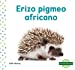 Seller image for Erizo pigmeo africano/ African Pygmy Hedgehog (Animales Miniatura/ Mini Animals) (Spanish Edition) [No Binding ] for sale by booksXpress