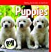 Seller image for Puppies (Baby Animals in Action!; Bookworms) [Soft Cover ] for sale by booksXpress