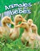 Image du vendeur pour Animales bebés (Baby Animals) (Spanish Version) (Science Readers: Content and Literacy) (Spanish Edition) by Elizabeth Austen [Perfect Paperback ] mis en vente par booksXpress