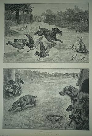 Seller image for Louis Wain : A Sad Dog's Day. Two dog pictures; Wicked Sport and Return in Penitence. An original uncoloured print of dogs by Louis Wain, the foremost cat illustrator of the era. An original print from the Illustrated London News, 1887. for sale by Cosmo Books
