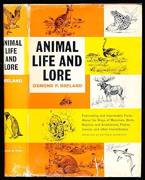 Animal Life and Lore