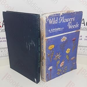 Wild Flowers and Weeds