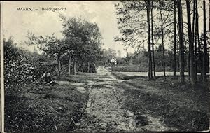 Seller image for Ansichtskarte / Postkarte Maarn Utrecht, Boschgezicht for sale by akpool.de - akpool GmbH