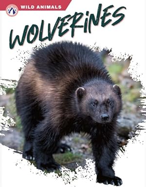 Seller image for Wolverines for sale by GreatBookPrices