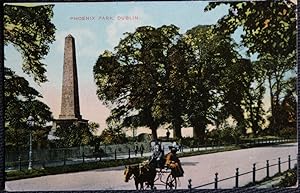 Dublin Phoenix Park Vintage Postcard