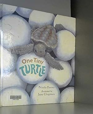 Bild des Verkufers fr One Tiny Turtle zum Verkauf von WeBuyBooks