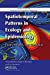 Image du vendeur pour Spatiotemporal Patterns in Ecology and Epidemiology: Theory, Models, and Simulation (Chapman & Hall/CRC Mathematical Biology Series) [Soft Cover ] mis en vente par booksXpress