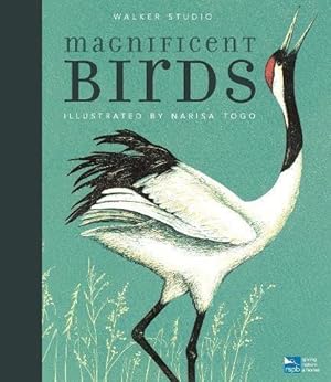 Seller image for Magnificent Birds (Walker Studio) for sale by WeBuyBooks