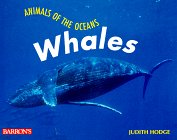 Seller image for Whales (Animals of the Oceans) for sale by WeBuyBooks